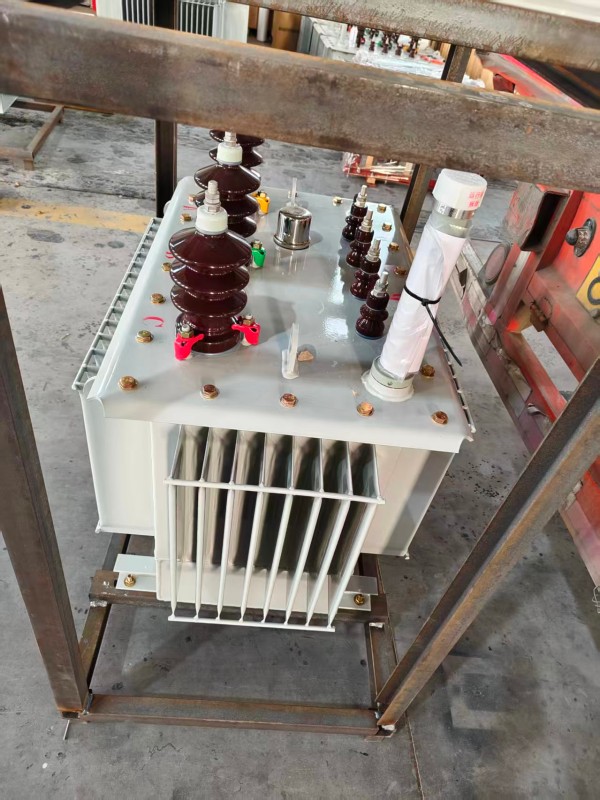 S13‑1000kVA 洮南洮南洮南油浸式变压器 大型厂区 S13 洮南洮南洮南油浸式变压器